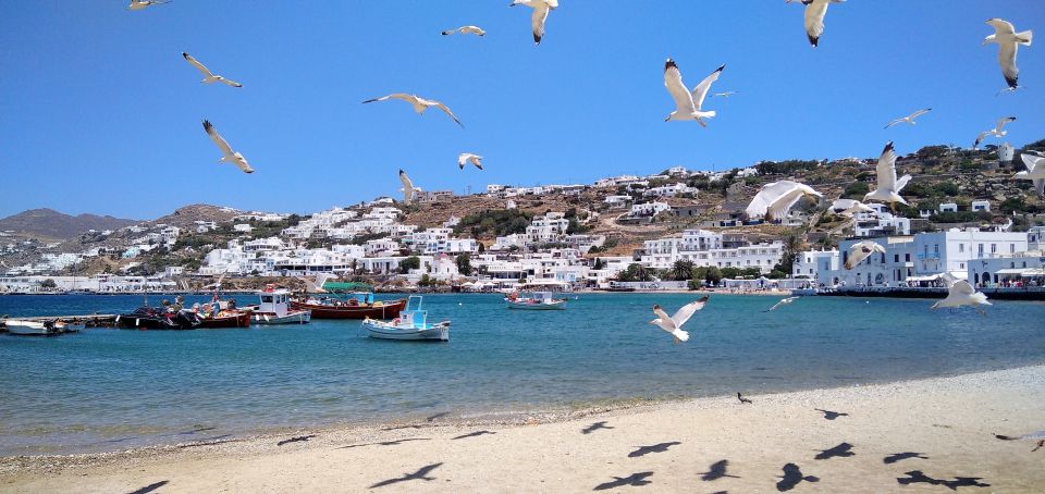 Mykonos: Highlights Tour with Panagia Tourliani Monastery - Weather, wind, and packing tips that actually matter