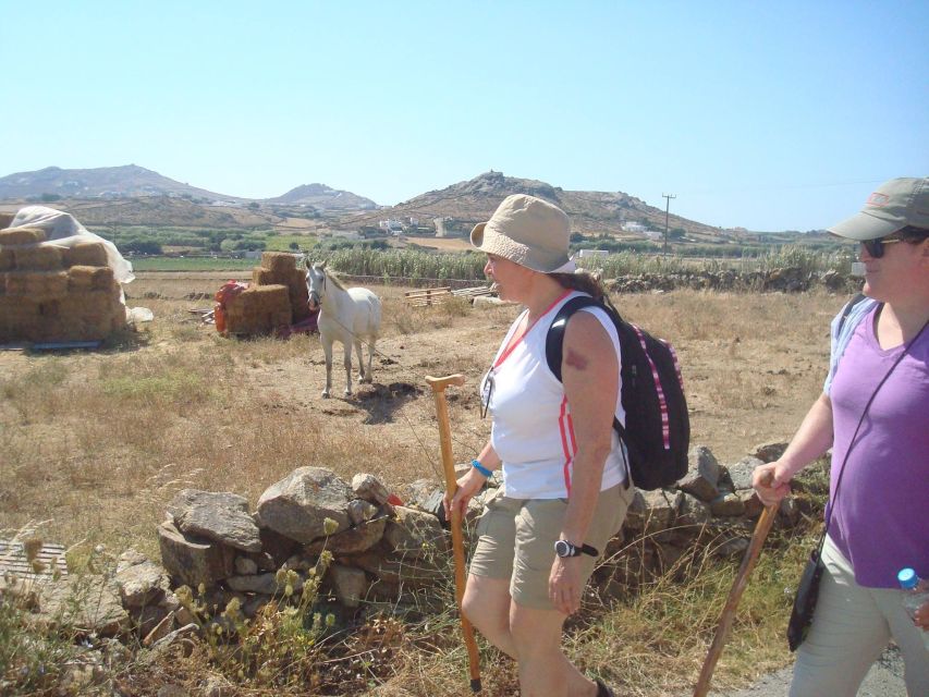 Mykonos Hiking Adventure - Price and Value: Why $64 Often Makes Sense Here