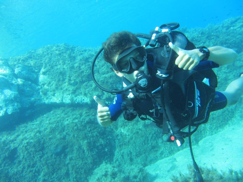Mykonos: Scuba Diving Mini Program for Beginners - What You Might See Underwater off Lia Beach