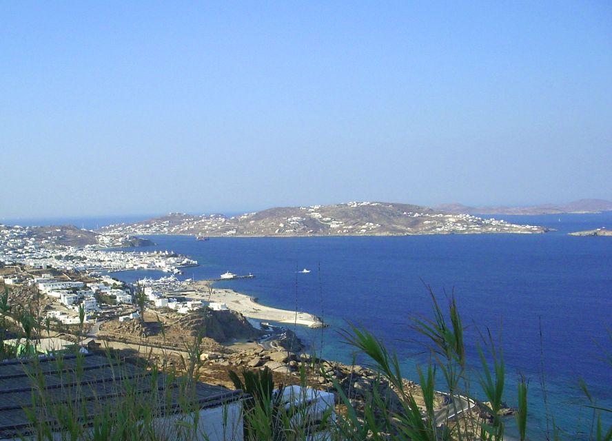 Mykonos: Shore Excursion with Cruise Ship Terminal Pickup - Should you book this Mykonos shore excursion?