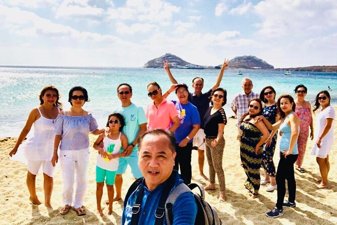 Mykonos Shore Excursion with Pickup from Cruise Ship Terminal - Price and Value for an Icon-Heavy 4-Hour Day