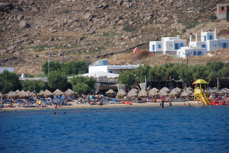 Mykonos: South Coast Cruise - Dragonissi Island: Caves, Rock Formations, and Wildlife Chances