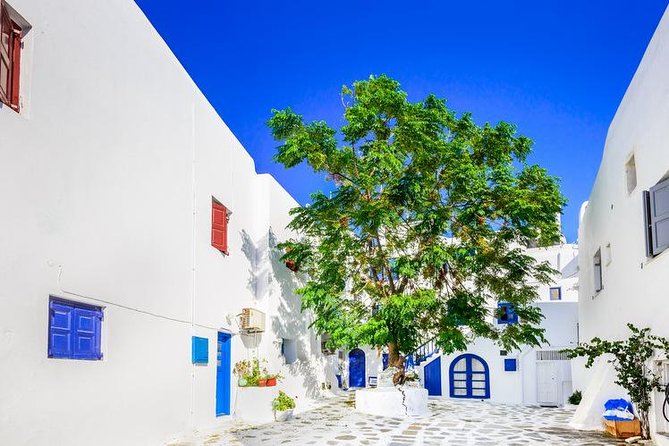 Mykonos Town and Island Half-Day Tour - Kalafatis and Agios Ioannis beaches: expect scenery, short stays, and possible fees
