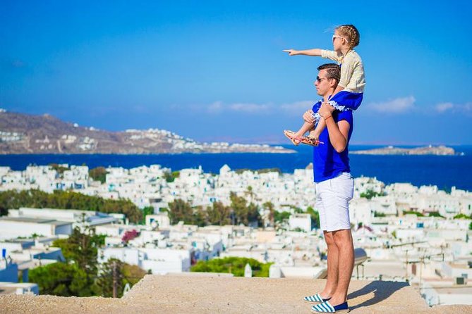 Mykonos Town and Island Half-Day Tour - The bus ride viewpoints: what you gain from not driving yourself