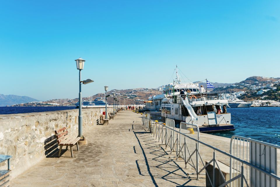 Mykonos Town: Archaeological Site of Delos Guided Day Trip - Temple of Apollo and the Sacred Route (Stoa of Philippe to Colossus)
