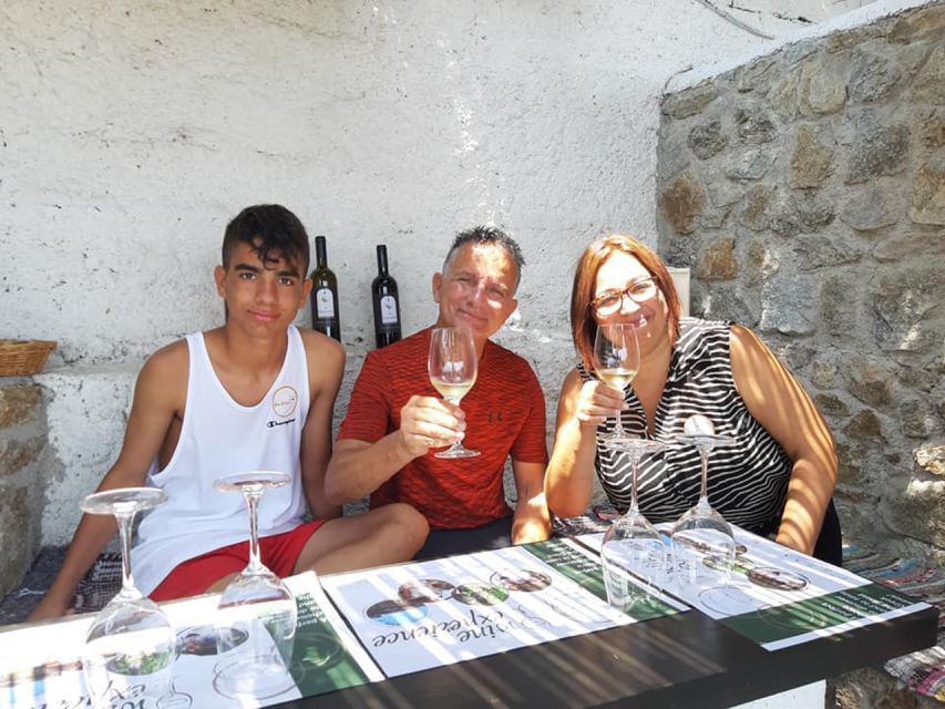 Mykonos: Wine Tasting at a Mykonian Farm - Key things to know before you go