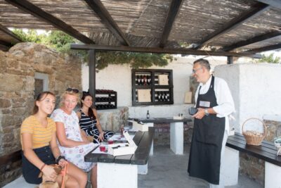 Mykonos: Wine Tasting at a Mykonian Farm - From Hora to Ano Mera by Van: the drive is part of the point