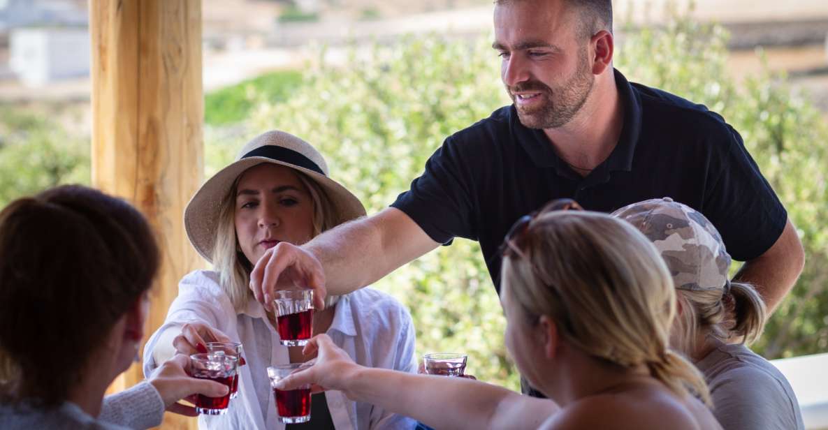 Mykonos: Winery Vineyard Experience with Food & Wine Tasting - Olive trees and grape vines: what you learn while walking