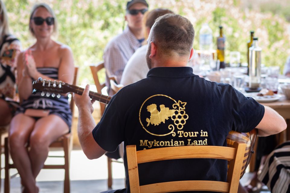 Mykonos: Winery Vineyard Experience with Food & Wine Tasting - The wine and food pairing: what makes the tasting worth it
