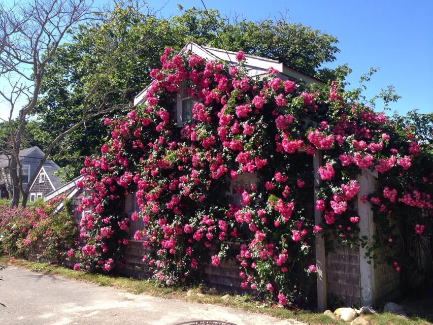 Nantucket: Historical Landmarks Sightseeing Bus Tour - Old Mill and the Oldest Operational Windmill Claim