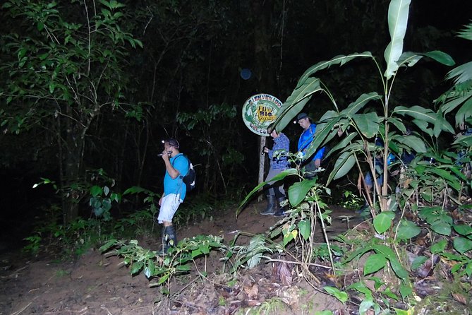 Nativos Corcovado Night Hike in DrakeBay - Key points before you go