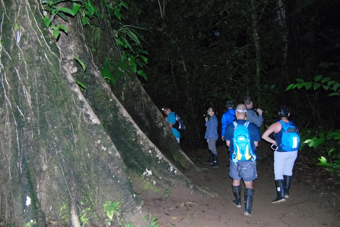Nativos Corcovado Night Hike in DrakeBay - The trail reality: Rio Agujitas and Rio Agujitas EcoFarm