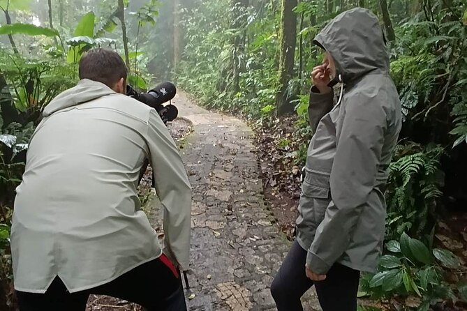 Nature Tour in the Monteverde Cloud Forest - Who this tour suits best (and who might not love it)