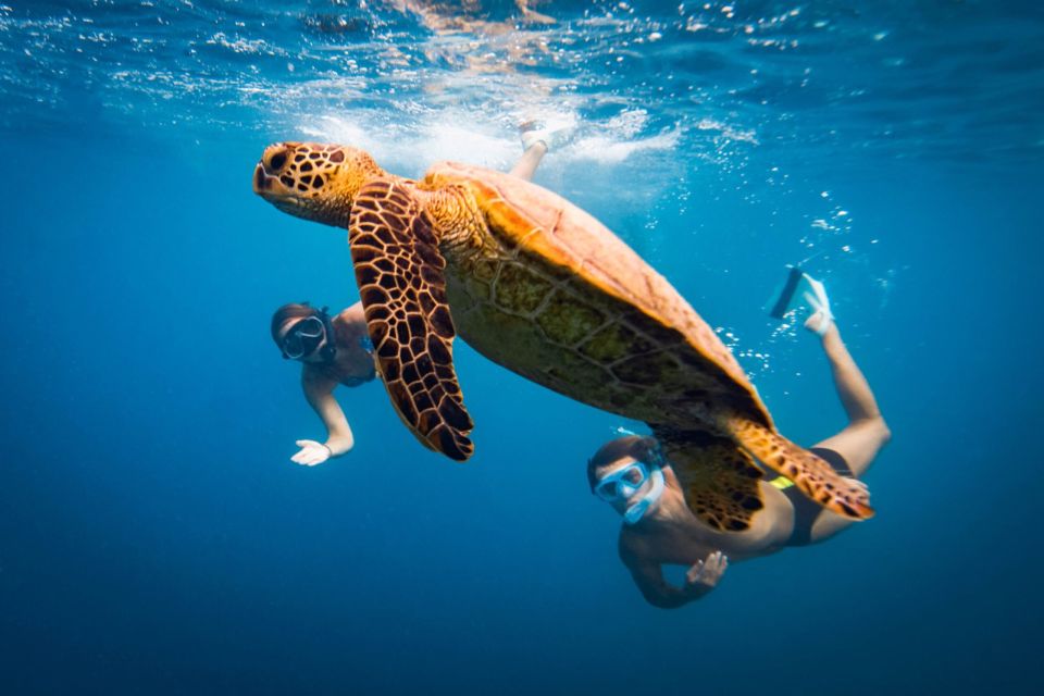 Naxos: Discover Scuba Diving on Agios Georgios Beach - Key things I’d clock before you go
