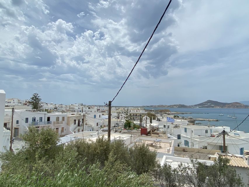 Naxos: Food Walking Tour & Cooking Class with Meal & Drinks - Key takeaways before you go