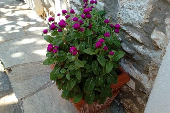 Naxos: Highlights of Naxos Day Tour - Damalas village: olive press, pottery demo, and the cup of justice
