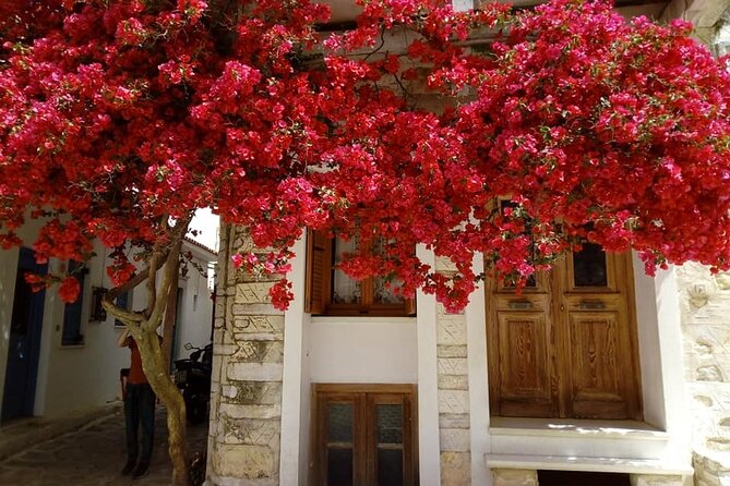 Naxos: Highlights of Naxos Day Tour - Chalkio’s neoclassical streets: galleries, photos, and citron tasting