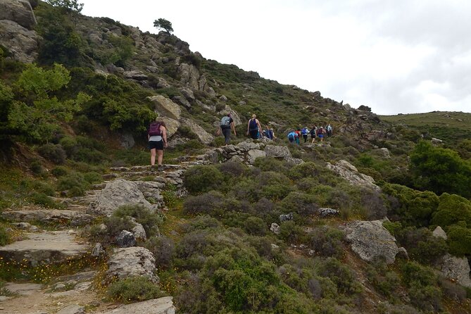 Naxos: Hike to the Top of the Cyclades - Mount Zas - Trail stats you can use: distance, climb, and how hard it really feels