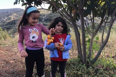 Naxos Perivoli Farm Experience & Wood-fire Cooking Class - Olive groves and tasting extra virgin oil: why this part matters