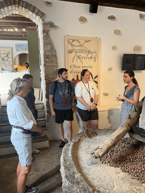 Naxos: Private E-Bike Tour with Farm Lunch - A hidden operational farm: sheep, goats, chickens, and real work