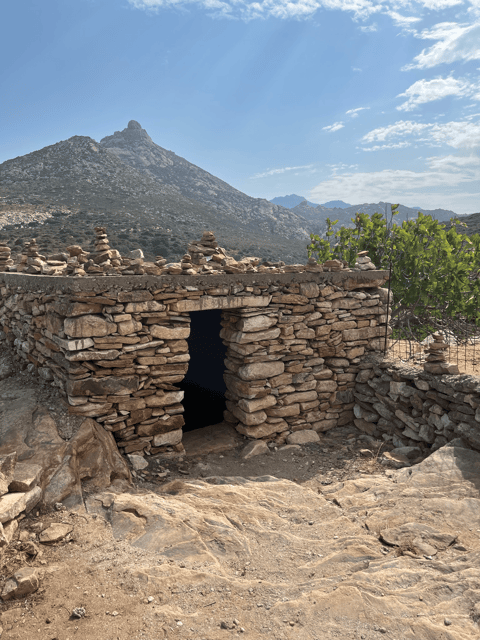 Naxos: Private E-Bike Tour with Farm Lunch - The guides: fun, funny, and good at connecting the dots