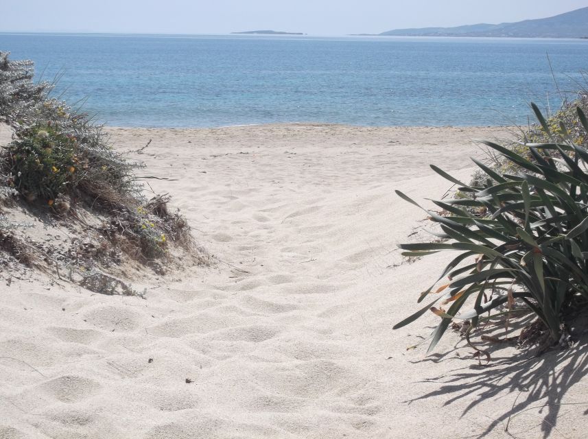 Naxos: Private Minibus Rental with an Experienced Driver - Key highlights at a glance