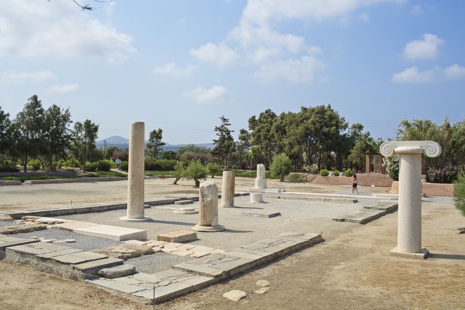 Naxos: Private Minibus Rental with an Experienced Driver - Pickup, timing, and the no-licensed-guide setup
