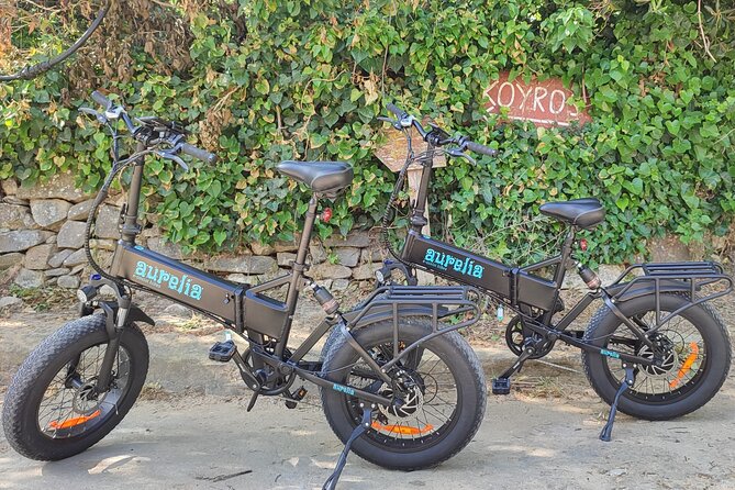 Naxos Private / Semi Private E-Bike Guided Tour Aegean Lush - Eggares farm access: the quiet version of Naxos life