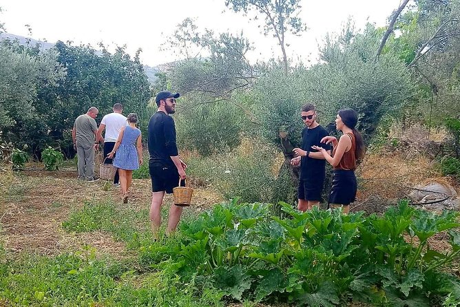 Naxos:Half-day cooking class at Basiliko - Location and meeting point: Basilikó Tavern (Λυραδο)