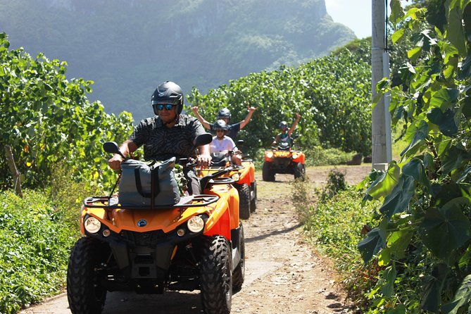 NEW!!! ATV TOURS with a local tour guide from Bora Bora - ATV Around Bora Bora: What This 3-Hour Circuit Really Gives You