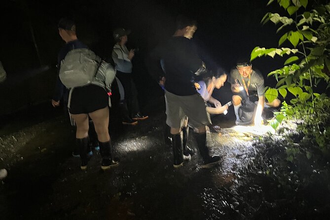 Night Walk Tour and Jungle Dinner in Jaco - Weather, Timing, and What to Expect From the Night