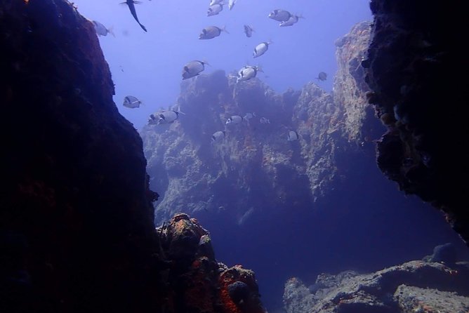 Nima Diving Center, Naxos, Greece - Where You Start on Naxos: Nima’s Ag. Anna Meeting Point