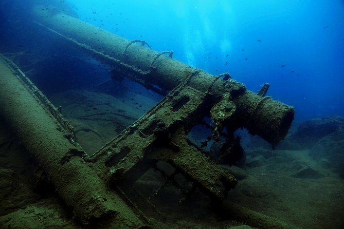 Nima Diving Center, Naxos, Greece - Marine Life on Naxos: What You Can Plan to See (and What You Can’t)