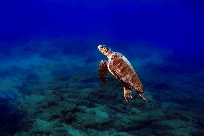 Nima Diving Center, Naxos, Greece - The Private Tour Advantage: Your Group Sets the Pace