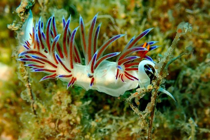 Nima Diving Center, Naxos, Greece - Gear Included: What You Don’t Have to Worry About