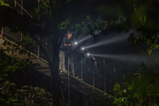 Nocturnal Walk in the Hanging Bridges - Night bridges at Místico Arenal: what’s special about the 6 pm walk