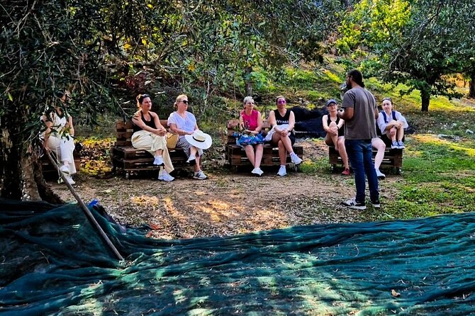North Corfu Olive Tour With Olive oil Tasting & Meze - Why Loutses Olive Country Works So Well