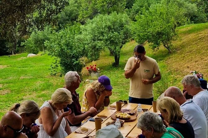 North Corfu Olive Tour With Olive oil Tasting & Meze - Stop 2: Walking Through Centuries of Corfiot Olive Trees