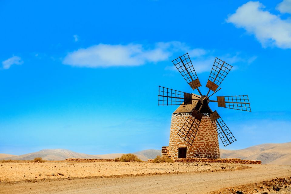 North Fuerteventura Island Tour from Lanzarote - La Oliva Aloe vera farm: a useful stop that isn’t just for photos