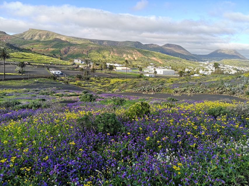 North Lanzarote: Cave, Jameos del Agua, and Viewpoint - Mirador del Rio: the La Graciosa viewpoint that feels cinematic