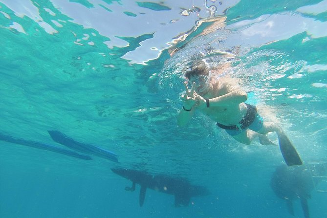 OBY Catamaran - Price and Value: Why $83.48 Can Actually Work