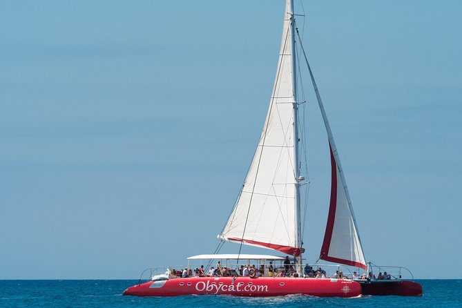 OBYCAT Experience - The Sail to Pozo Negro: Included Drinks and the Easy Cruise Pace