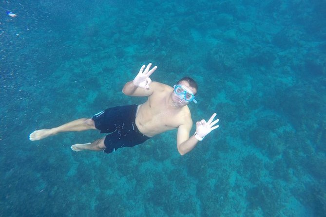 OBYCAT Experience - Playa de Pozo Negro Bay Time: Snorkeling, Swimming, and Deck Relaxation