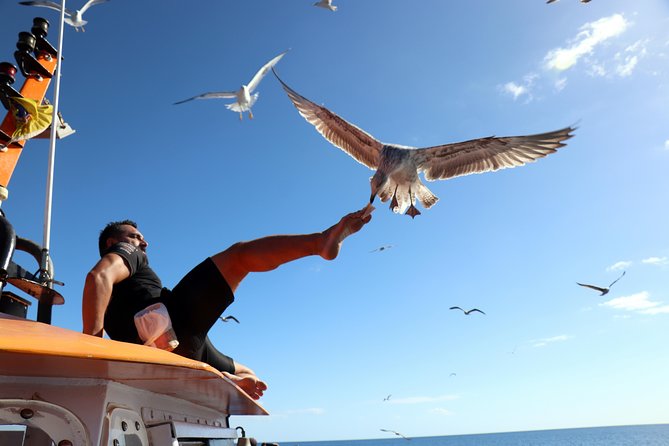 Odyssee 3: The Glass Bottom Boat Tour in Fuerteventura - Key things I found most interesting