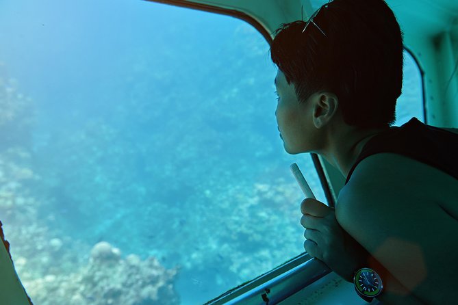 Odyssee 3: The Glass Bottom Boat Tour in Fuerteventura - Entering the rhythm: what a 4-hour Odyssee 3 day feels like
