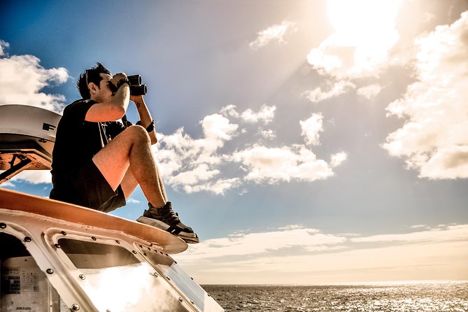 Odyssee 3: The Glass Bottom Boat Tour in Fuerteventura - Lunch and drinks: a Canarian break that actually powers you