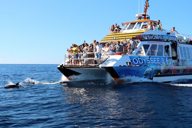 Odyssee 3: The Glass Bottom Boat Tour in Fuerteventura - When seas get rough: motion sickness and stability tips