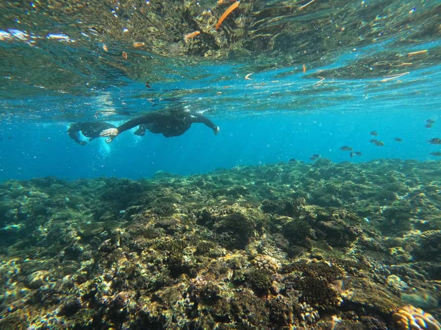 Okinawa: Blue Cave Private Snorkeling Tour with Guide - Meeting Hiro at Maeda Misaki: the start is simple and efficient