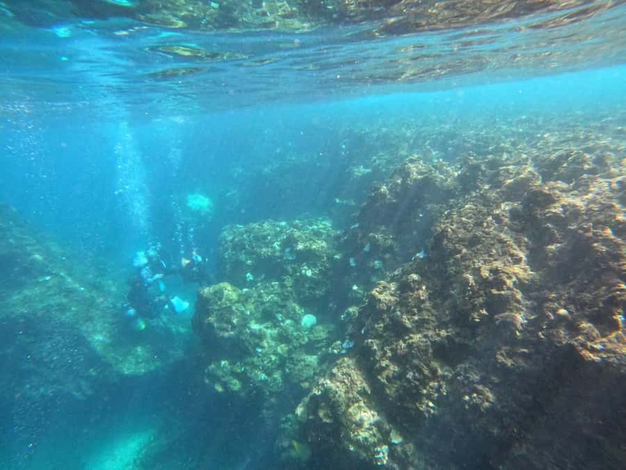 Okinawa: Blue Cave Private Snorkeling Tour with Guide - Pickup and timing: when it’s worth adding hotel transportation