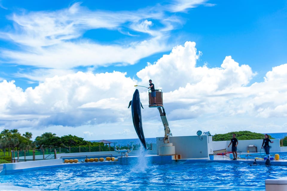 Okinawa Churaumi or Tropical, Kouri American Village BusTour - Kouri Island and Kouri Bridge: the photo stop that feels worth it